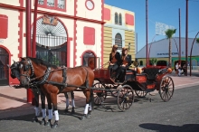 feria-2010-11