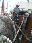 feria-2010-12