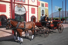 feria-2010-13