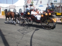 feria-2010-4