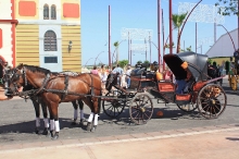 feria-2010-5