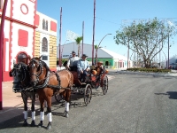 feria-2010